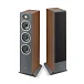 Напольная акустика Focal Theva N2 Dark Wood - рис.0