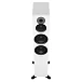 Напольная акустика Dynaudio Emit 50 Satin White - рис.1