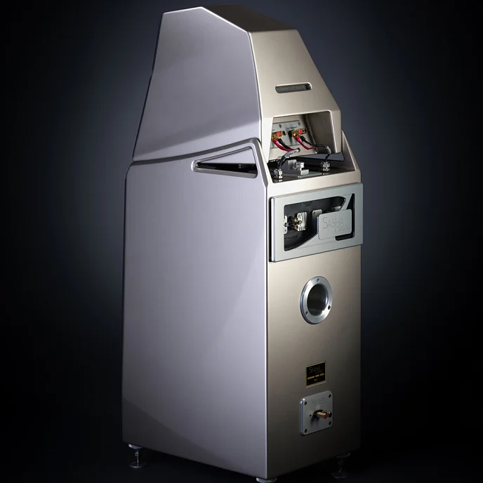 Напольная акустика Wilson Audio Sasha DAW Galaxy Gray - рис.6