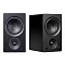 PSB AM3 Black