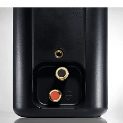 Настенная акустика Canton Plus X.3 Black