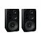 ToneWinner BL-5
