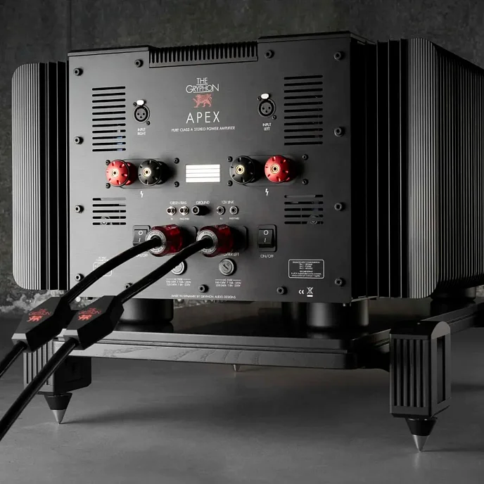 Усилитель мощности Gryphon Apex Stereo Power Amplifier Black - рис.4