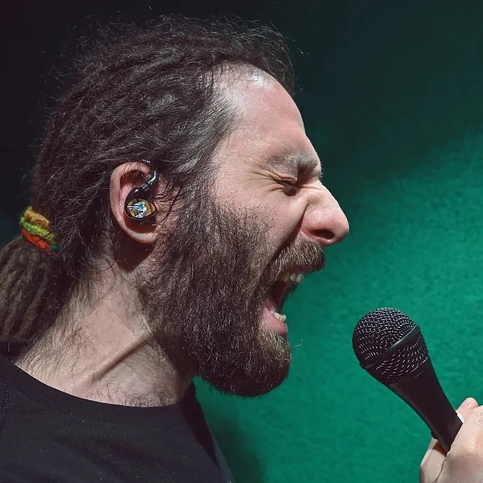 Кастомные наушники JH Audio Siren Series Layla - рис.14