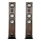 Canton Smart Townus 8 Walnut