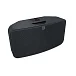 Беспроводная акустика Bluesound Pulse mini 2i Black - рис.1