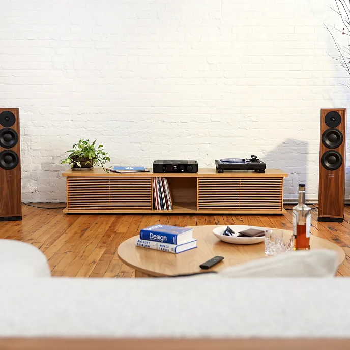 Интегральный усилитель Moon by Simaudio 371 Black - рис.10