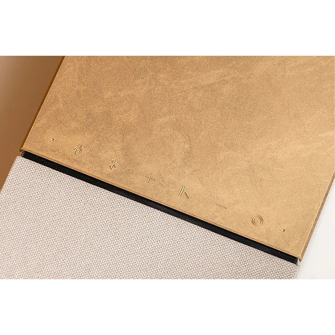 Саундбар Devialet Dione Opera De Paris - рис.7