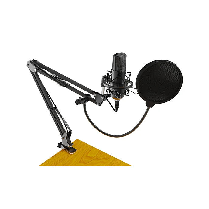 Микрофон для стриминга и игр Ritmix RDM-169 USB Black - рис.3