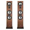 Canton Townus 100 Walnut