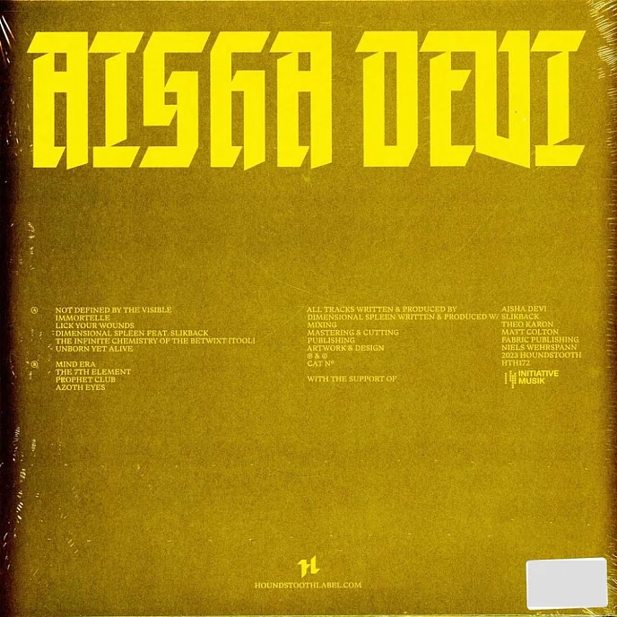 Виниловая пластинка Aisha Devi - Death Is Home LP - рис.1
