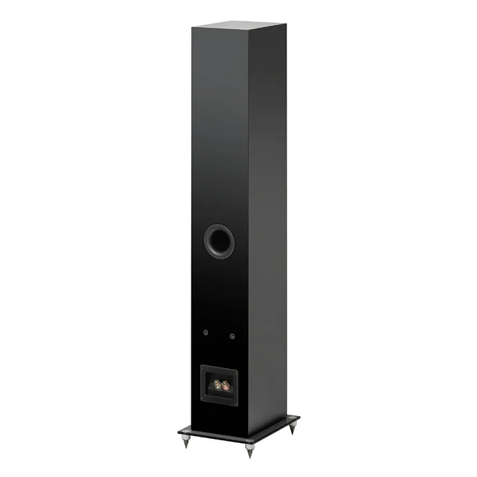 Напольная акустика Pro-Ject Speaker Box 10 E Carbon Satin Black - рис.1