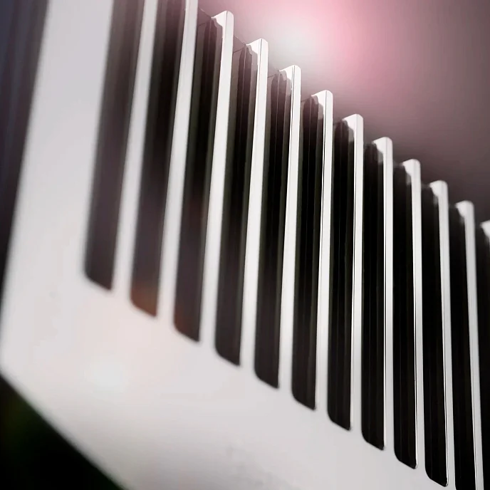 Усилитель мощности MBL N21 Stereo Power Amplifier Piano Black Palinux - рис.6