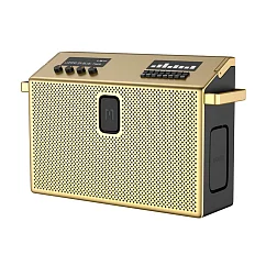Беспроводная акустика Defunc Mondo BT Speaker Large Gold