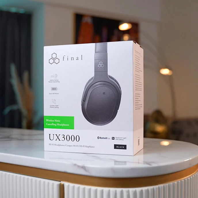 Беспроводные наушники Final Audio UX3000 Black - рис.8