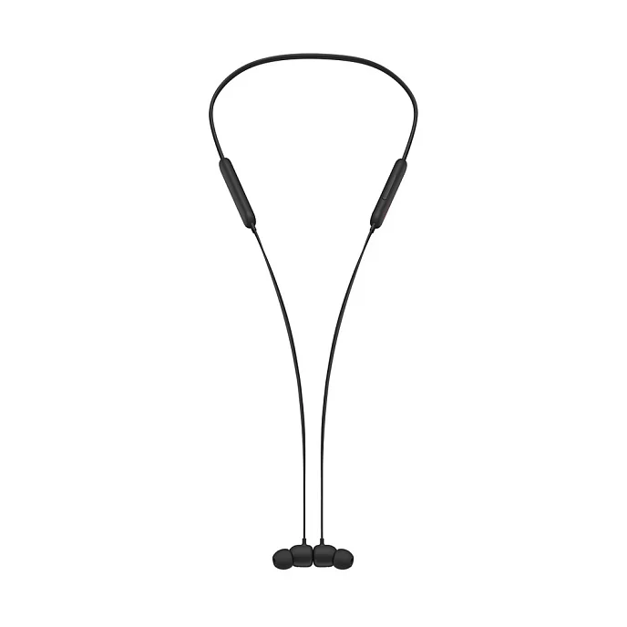 Беспроводные наушники Beats Flex All-Day Wireless Black - рис.1