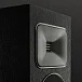 Напольная акустика Martin Logan Foundation F1 Gloss Black - рис.10