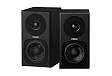 Студийный монитор Fostex PM0.3dH Black - рис.5 Студийный монитор Fostex PM0.3dH Black - рис.5