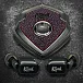 Беспроводные наушники T10 Bespoke Edition Power Perse - рис.1