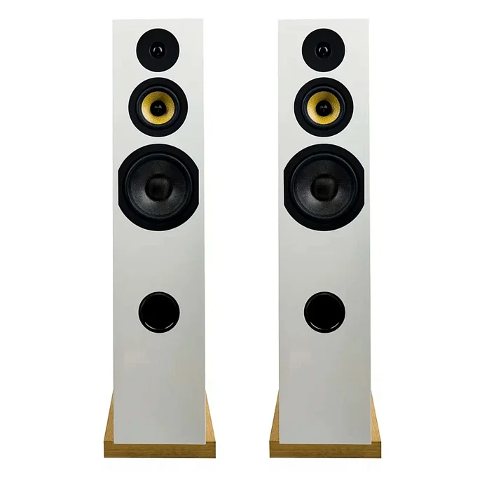 Напольная акустика Davis Acoustics Courbet N 8 White Gloss - рис.1