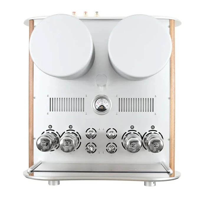 Интегральный усилитель Auris Fortissimo - рис.3