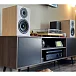 Полочная акустика Wharfedale Diamond 12.2 White Oak - рис.7