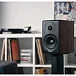 - рис.6 Полочная акустика Dynaudio Emit 10 New Walnut - рис.6