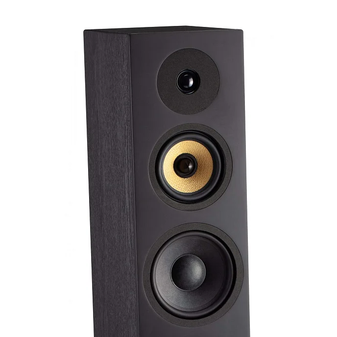 Напольная акустика Davis Acoustics Krypton 9 Technik Black - рис.4