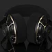 High End наушники Final Audio DX10000CL Collectors Edition Black Gold - рис.6