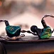 IEM наушники Noble Audio Jade Green - рис.16