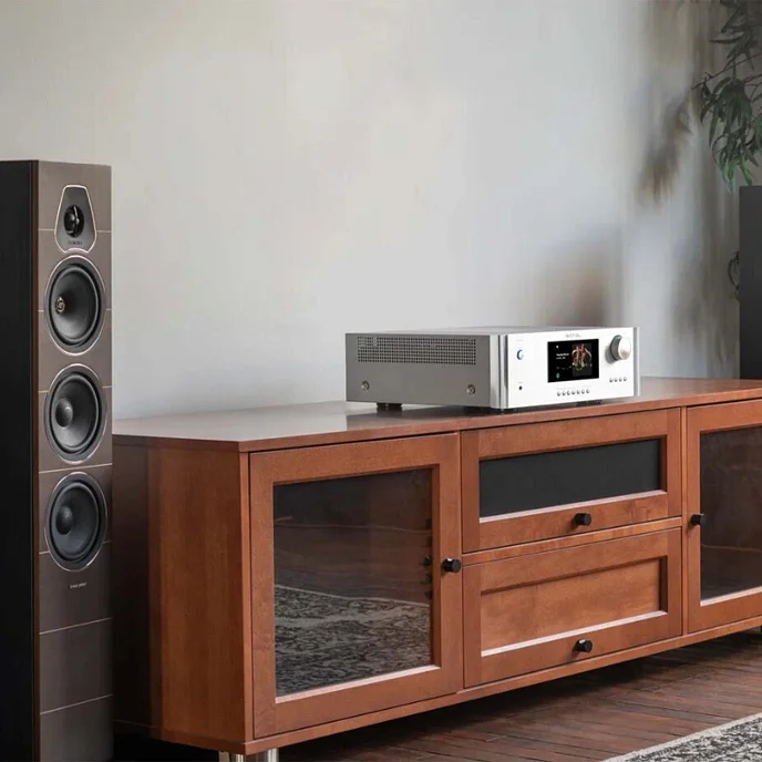 Интегральный усилитель Rotel RAS-5000 Silver - рис.9