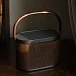 Портативная колонка Bang & Olufsen Beosound A5 Dark Oak - рис.18