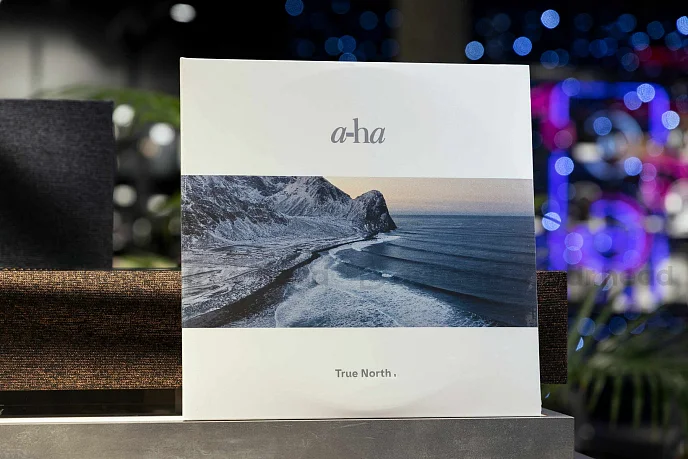Виниловая пластинка a-ha – True North 2LP - рис.2