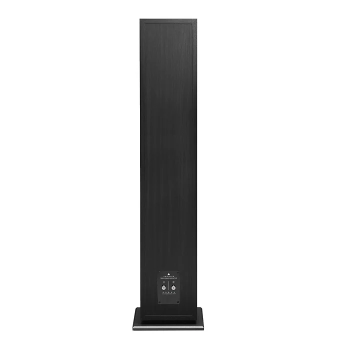Напольная акустика Triangle Borea BR09 Black Ash - рис.4