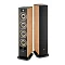 Focal Aria Evo X N3 Walnut