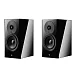 - рис.1 Полочная акустика Dynaudio Focus 10 Black High Gloss - рис.1