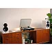 Полочная акустика Dynaudio Focus 10 Highgloss White - рис.12