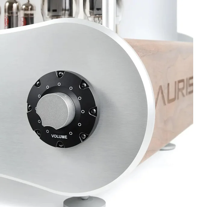 Интегральный усилитель Auris Fortissimo - рис.4