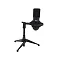 Ritmix RDM-160 Black
