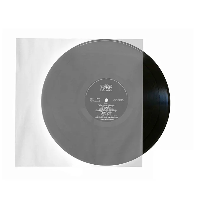 Конверт для пластинок внутренний Analog Renaissance LP Inner Sleeves COEX - рис.1