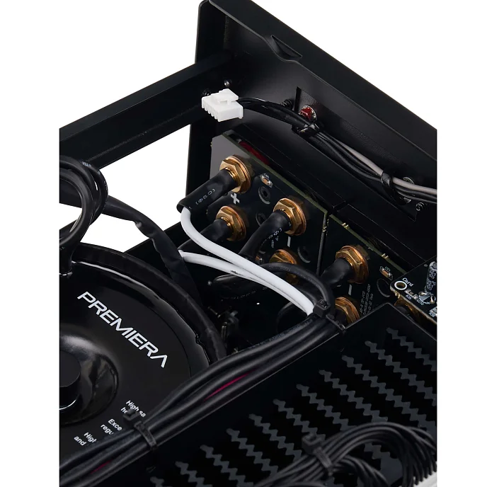 Интегральный усилитель Premiera A5 AXIOM Golden Black - рис.6