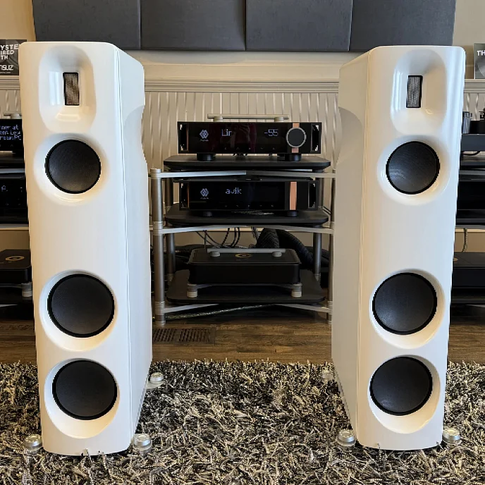Напольная акустика Borresen Z3 Cryo White Matte - рис.7