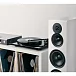 Напольная акустика Dynaudio Emit 50 Satin White - рис.7