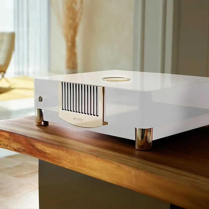 Усилитель мощности MBL N15 Mono Power Amplifier Piano White Gold - рис.5