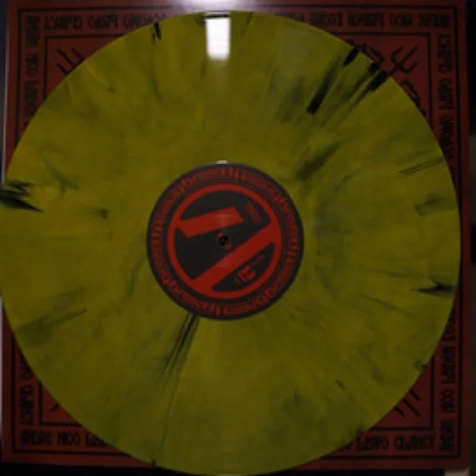 Виниловая пластинка Twenty One Pilots – Breach LP - рис.3