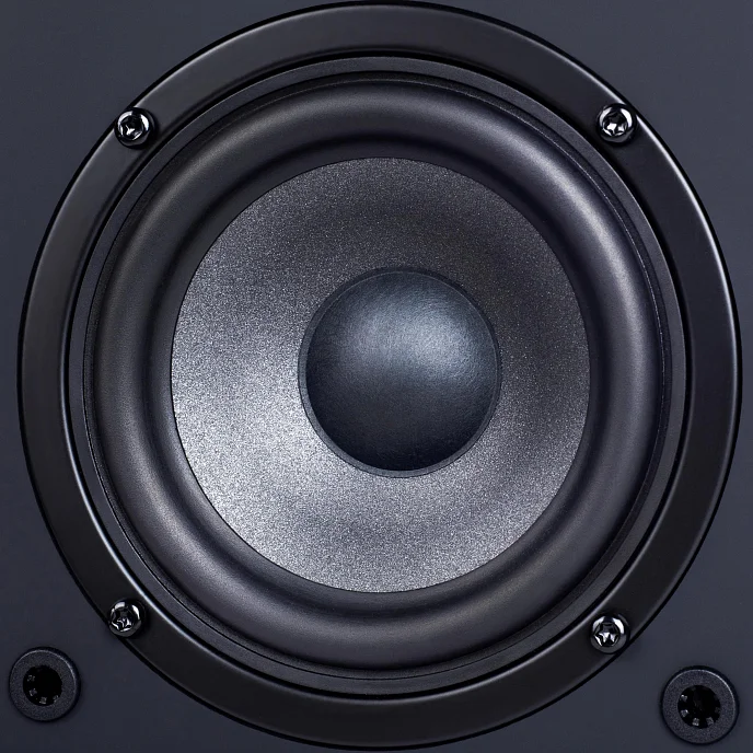 Полочная акустика Radiotehnika S-10N Black Ash - рис.8