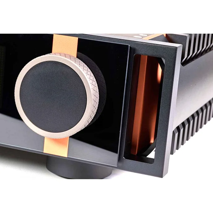 Интегральный усилитель Aavik I-880 Black - рис.5