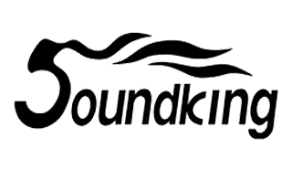 Soundking