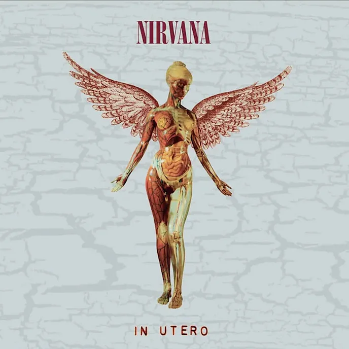 CD-диск Nirvana - In Utero Deluxe CD - рис.0