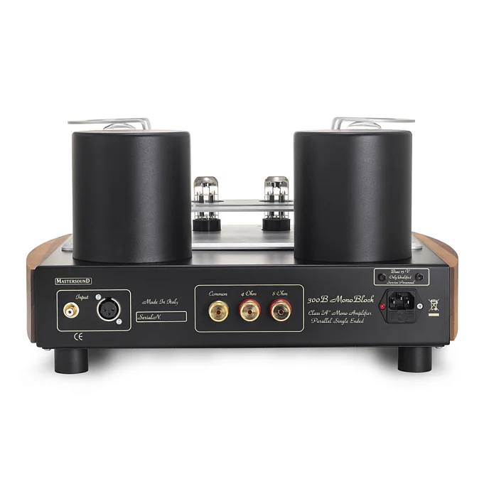 Усилитель мощности Mastersound 300B Monoblock Black Wood - рис.2